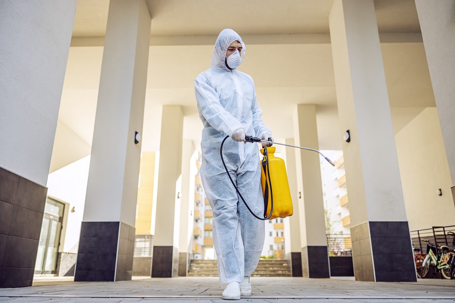 Pest Control Services in Austin and the Industry Leaders